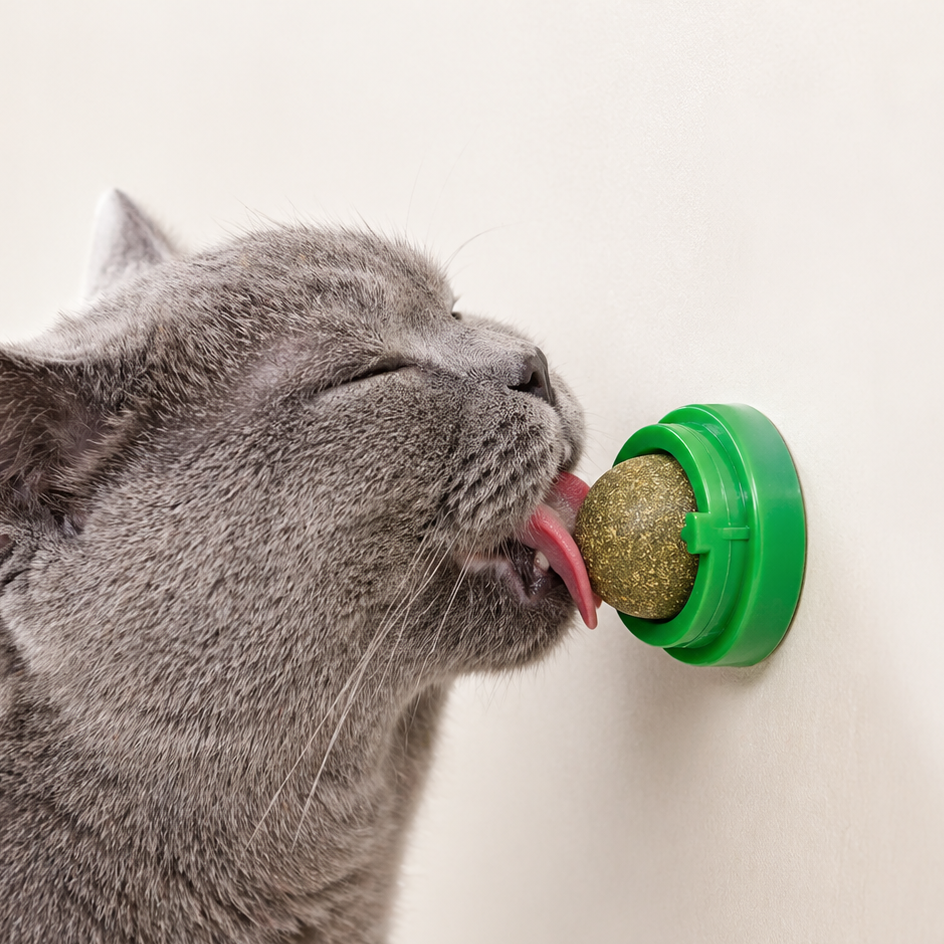 Natural Catnip Wall Stick-on Ball