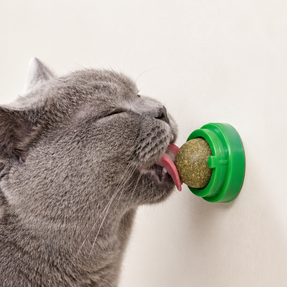 Natural Catnip Wall Stick-on Ball